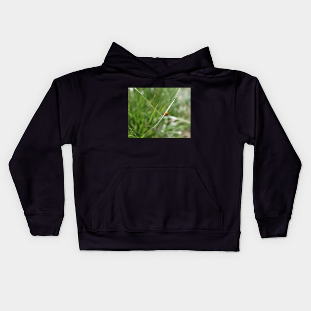 Lucky Ladybug in the grass Kids Hoodie by HFGJewels